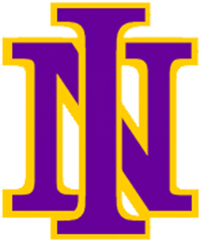 Northern Iowa Panthers 1981-2000 Primary Logo iron on transfers for fabric